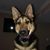 Louis Aiello's profile image