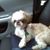 Roy Schlabach's profile image