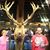 Corrina Daniels Grigg's profile image