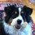 Suzanne Mounts's profile image