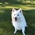 KC Wubbenhorst's profile image