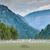 Kim Welch's profile image