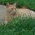 Gregory Alison Giles's profile image
