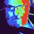 Leon Ledlow's profile image
