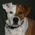 Jana Mork's profile image