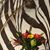 Julie Ann Wasti's profile image