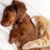 John Michael Shoemaker's profile image