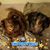 Tammy Hinson Taylor's profile image