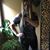 Michele Marone-Grenke's profile image