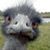 Mary Zimmer's profile image