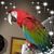 Liz Boyd-Oliver's profile image