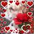 Linda Hoskinson Lisicki's profile image