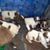 Twyla Hollon Rhode's profile image