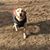 Gloria Walker's profile image
