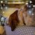Nancy Morphew Gwin's profile image