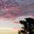 Anmarie Dresden's profile image
