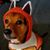 Julie Lynn Small's profile image