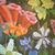 Cantrell Nicole's profile image