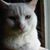 Tammy Dooley's profile image