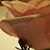 Sharon Thompson's profile image
