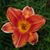 Theresa Blair's profile image