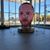 Maximus Christian Bryant's profile image