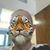 Lee Howard's profile image