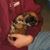 Mary Meyer's profile image