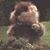 Gregory D Traynor's profile image