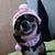 Ann Tidwell's profile image