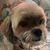 Mary Vose's profile image