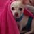 Michelle Murphy's profile image