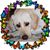 Charmaine Jans's profile image