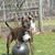 Betty Geist's profile image