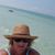Kristi Culp Talbot's profile image