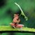 Louise Townsend's profile image