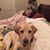 Penny Stoudt Everett's profile image