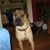 Sharlene Henders's profile image