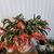 Angelia M. Albrecht's profile image