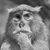 Jim Hughes's profile image