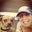 Renee G's profile image