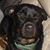 Jessica Styers Albieri's profile image