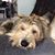 Mary Wible's profile image