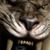 Teyub Rivera's profile image