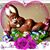 Melissa Sadleir Walton's profile image