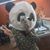 Hale Bopp's profile image