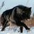 Trenton Ray Stackhouse's profile image