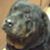Janet Kerr Stephenson's profile image