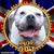 Bruce Yates's profile image
