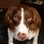 Richard Fritz's profile image